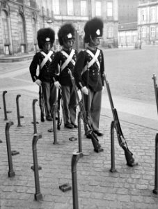 Wisseling van de wacht voor paleis Amalienborg om1200 uur 's middags, Bestanddeelnr 252-1331