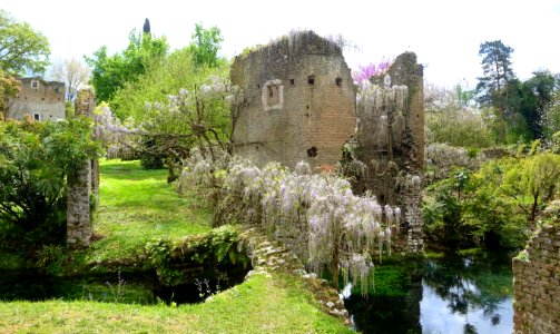 Wisteria bridge - Giardino di Ninfa, Italy - DSC03114