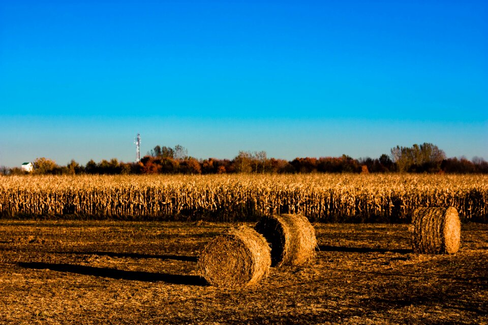 Fields fall landscape