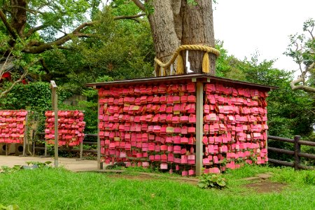 Wishes - Enoshima, Japan - DSC07671