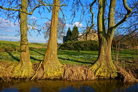 Banks water's edge meadow