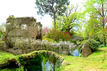 Wisteria bridge - Giardino di Ninfa, Italy - DSC03119