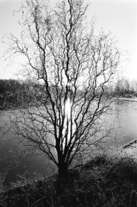 Winters landschap, Bestanddeelnr 930-0531