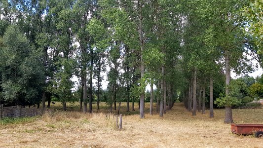 Wintershoven-Sint-Lambertusbron (4)