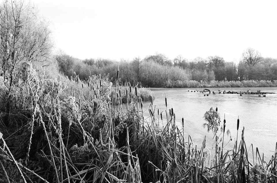 Winters landschap, Bestanddeelnr 930-0532