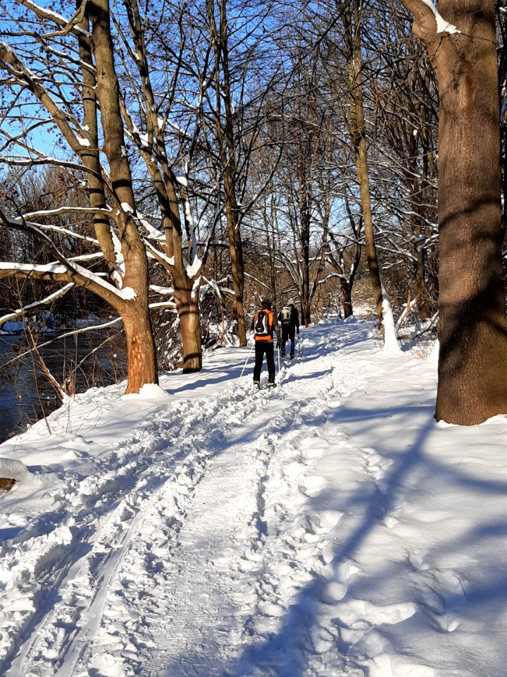 Winter-Rabeninsel Halle