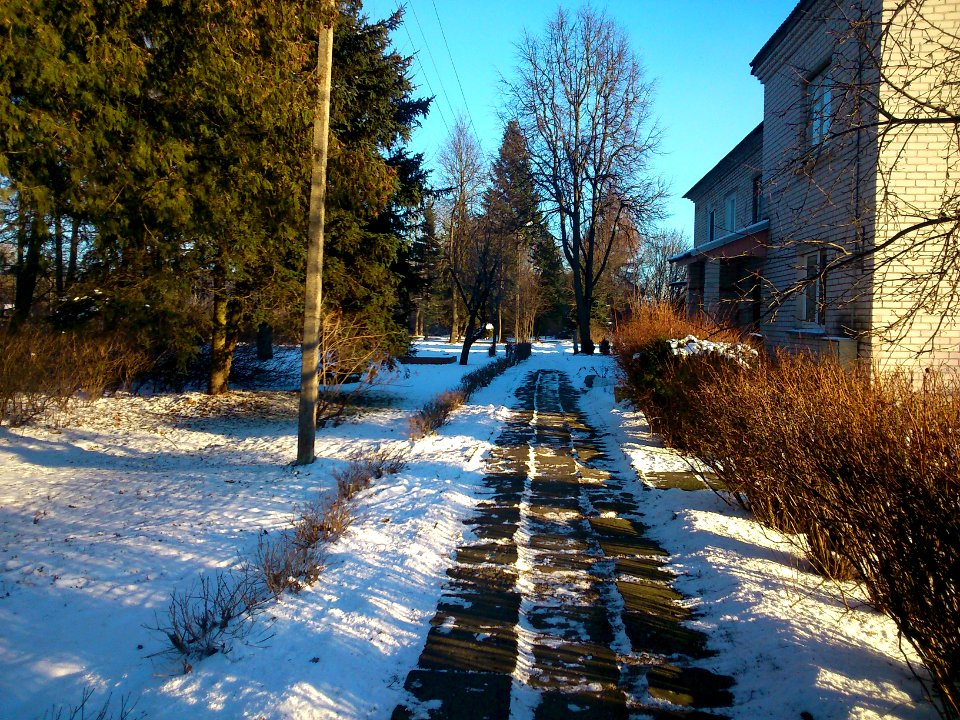 Winter park, way - Miskininku Street Jonava, '14