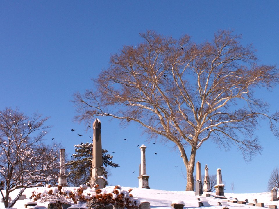 Winter view, Allegheny Cemetery, 2015-01-28, 01