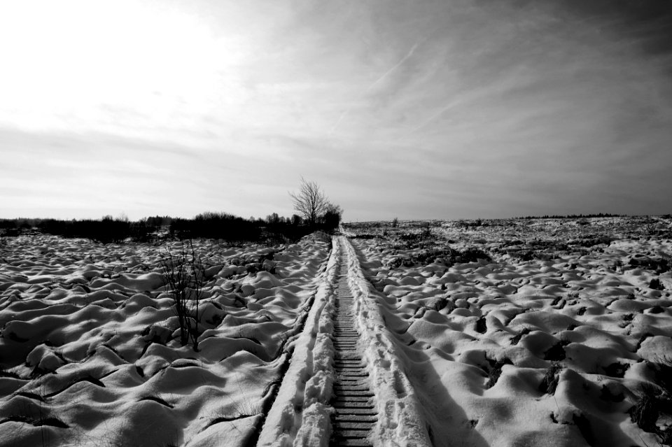 Winter Path (142205983)