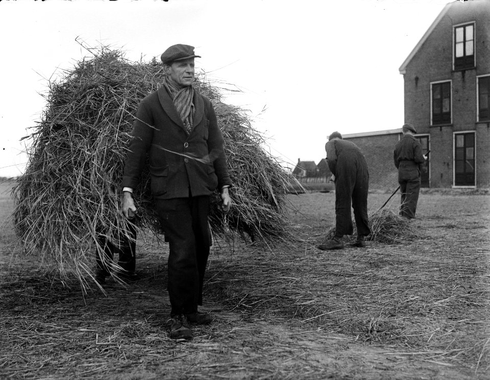 Winterbed verdwijnt van de bollen, Bestanddeelnr 902-0845