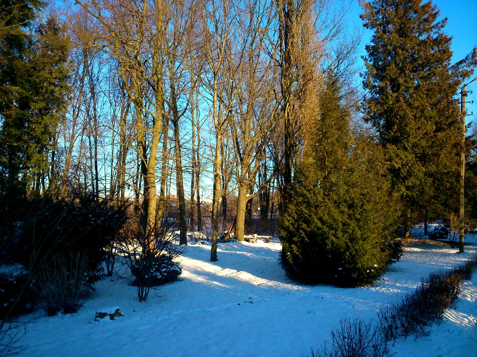 Winter park at Miskininku Street- Jonava, '14