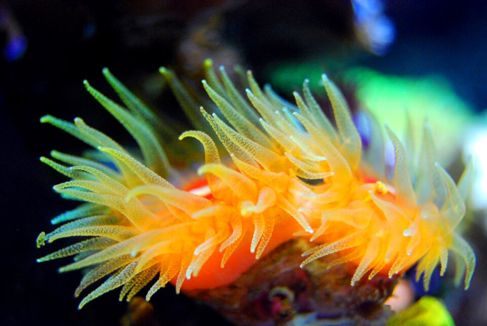 Sea underwater water