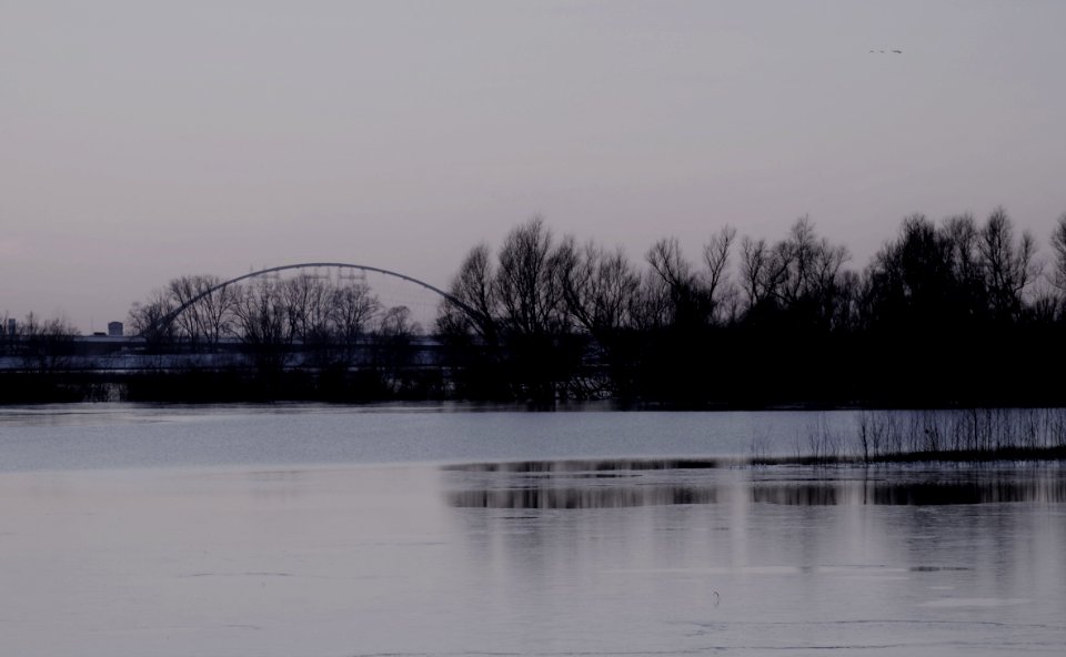 Winter riverscape near Nijmegen