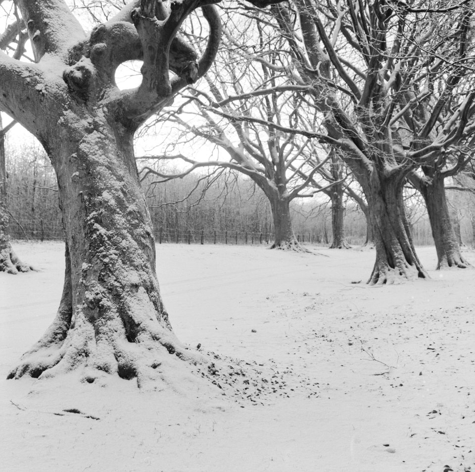 Winterlandschap in de buurt van Haarlem, Bestanddeelnr 915-8677