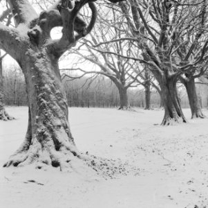 Winterlandschap in de buurt van Haarlem, Bestanddeelnr 915-8677
