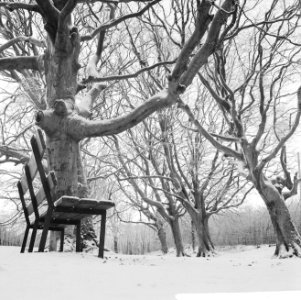Winterlandschap in de buurt van Haarlem, Bestanddeelnr 915-8679