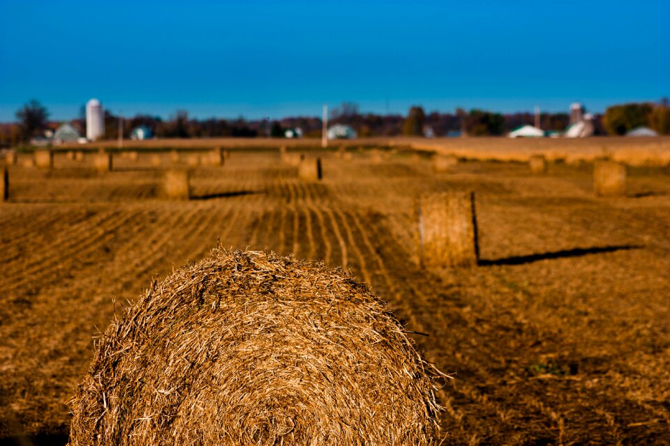 Fields fall landscape