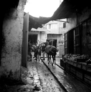 Winkelstraat met uitgestalde waren en beladen ezels, Bestanddeelnr 255-3248 photo