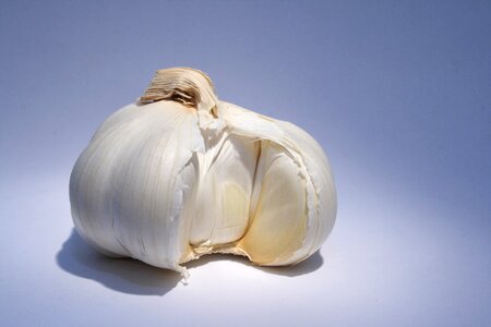 Spice clove of garlic healthy photo