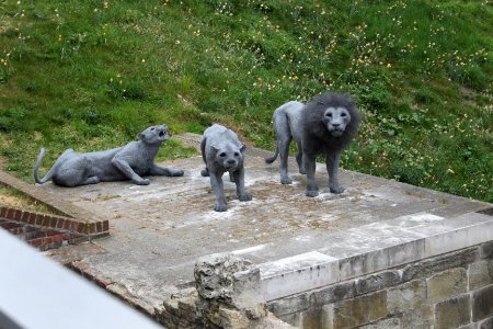 Wire animals at tower