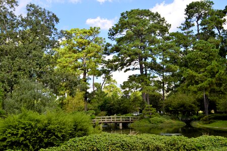 Botanical garden houston texas photo