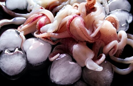 Sea dish italian