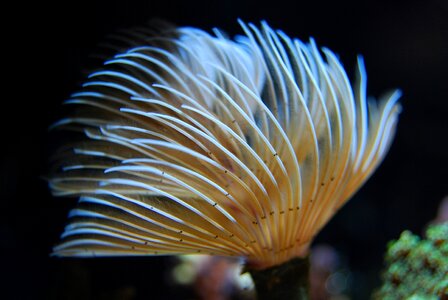 Ocean sea marine