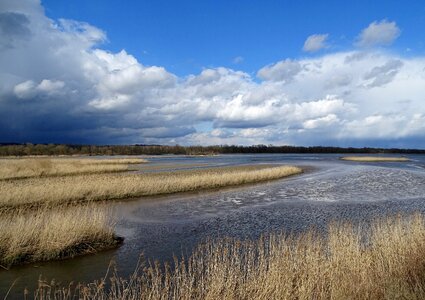 Landscape lake bank