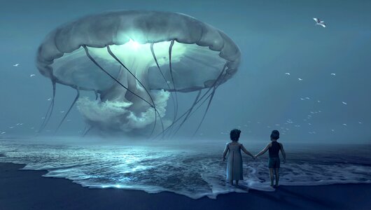 Jellyfish night fairy tales photo
