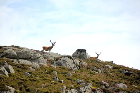 Nature landscape hill