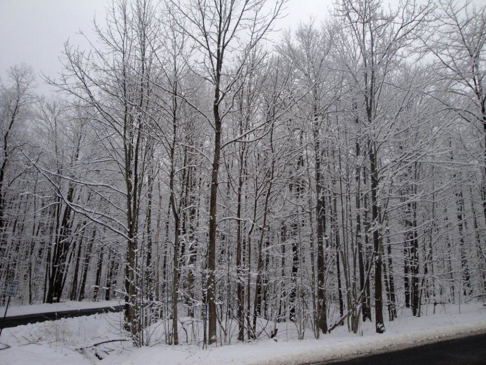 Wintertime at Wick, Pa., near Sutherland