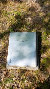Withuis-Monument voor een voormalige grensovergang (2)