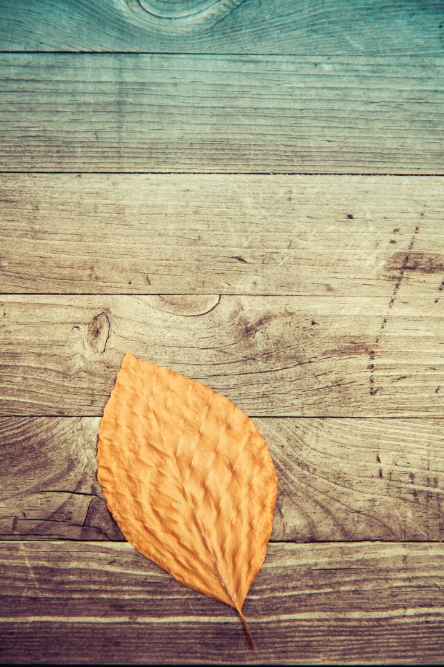 Fall autumn wooden