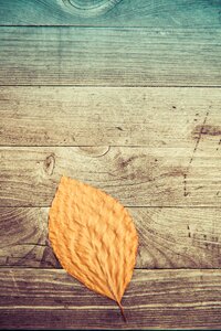 Fall autumn wooden