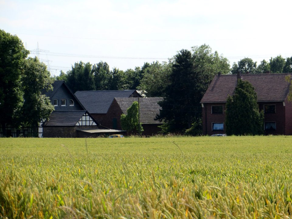 Witten Frackmann-Kotten