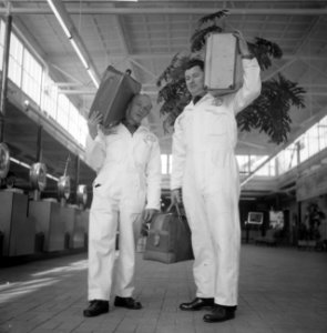Witkielen op Schiphol, Bestanddeelnr 913-6486