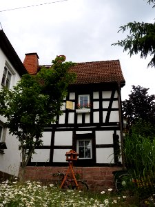 Wittchenstein 13