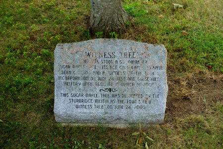 Witness Tree marker - Sturbridge, Massachusetts - DSC06056