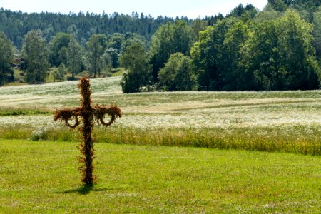 Withered Midsummer pole on Röe gård 1