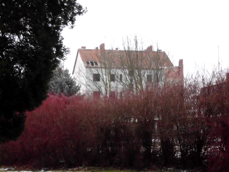 Wittenberger Straße Nr 47 4