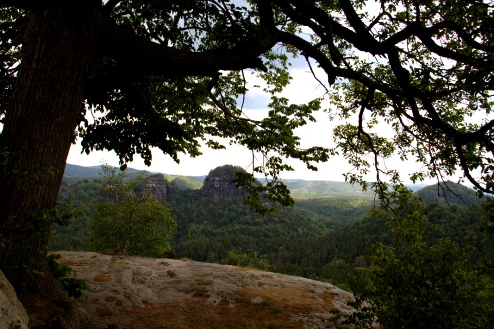 Winterstein 2012-05-27-7362