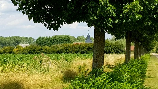Wintershoven-Zicht op Kasteel Dessener