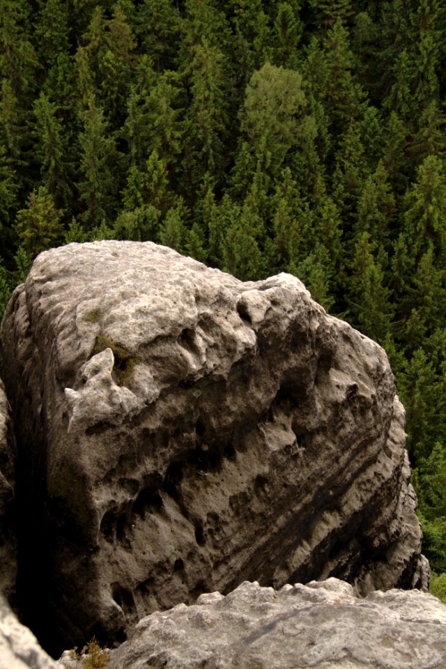Winterstein 2012-05-27-7350