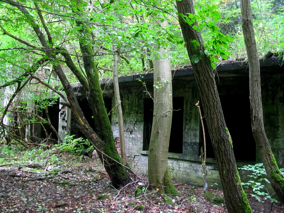 Witten Zeche Elisabethenglück 6