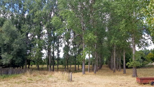 Wintershoven-Sint-Lambertusbron (5)