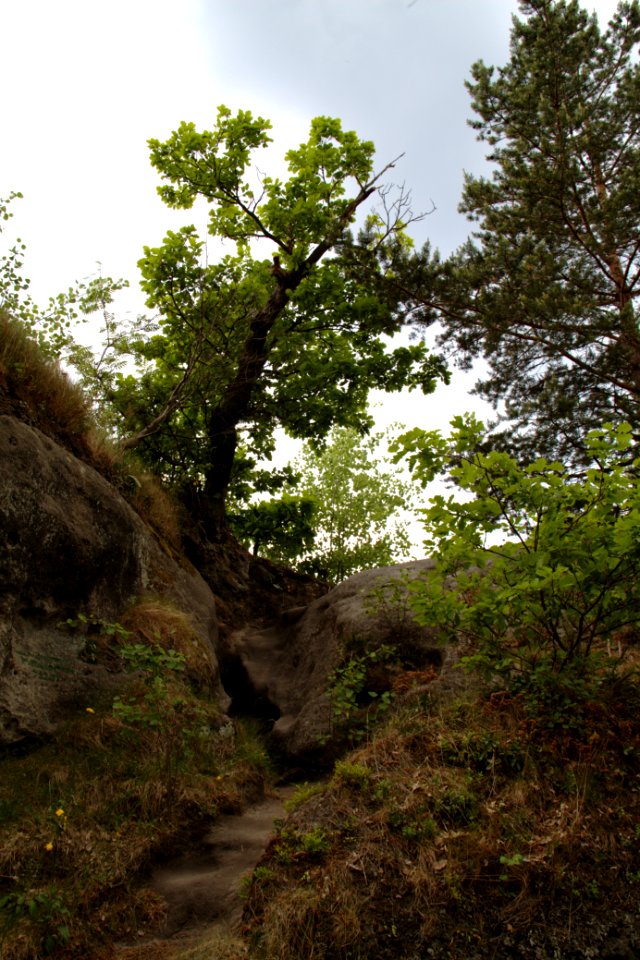 Winterstein 2012-05-27-7405