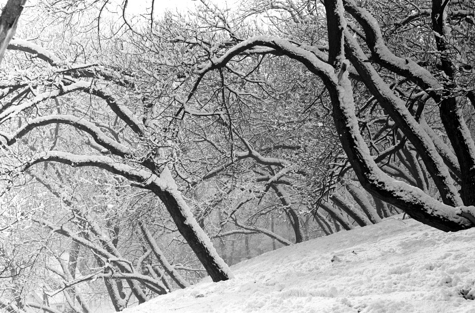 Wintersport op de Blinkert in Overveen, Bestanddeelnr 913-5866