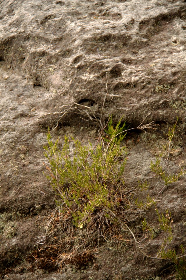 Winterstein 2012-05-27-7434