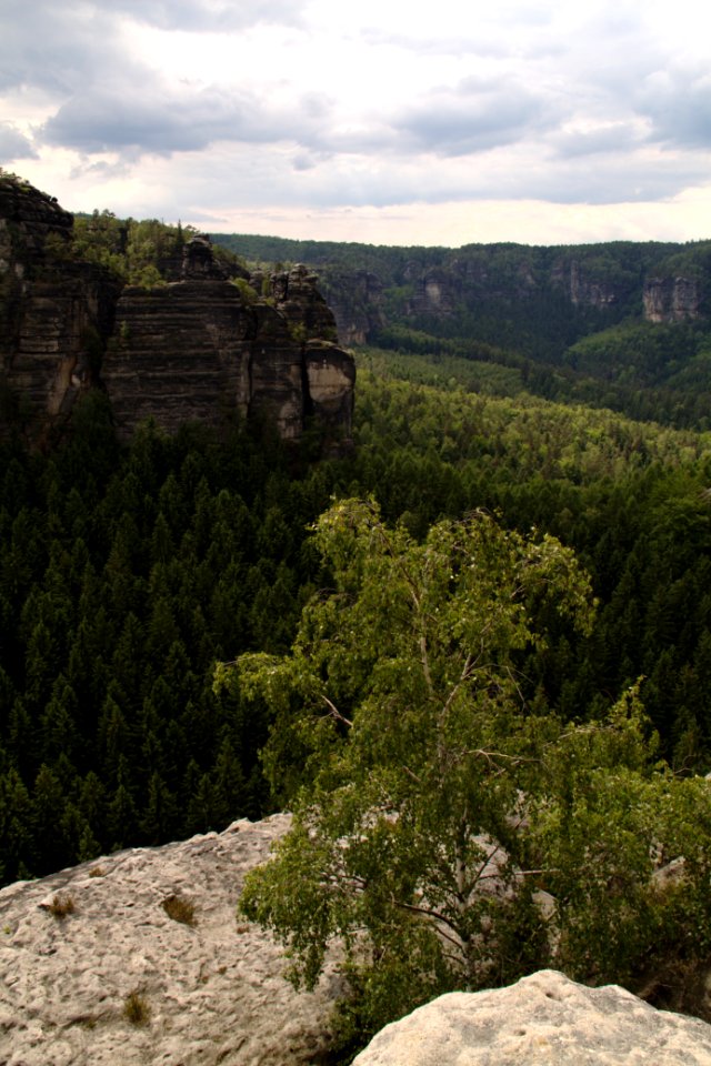 Winterstein 2012-05-27-7334