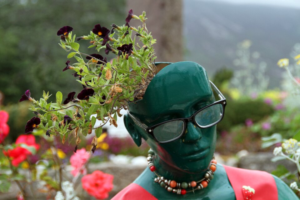 Plant gardening spring
